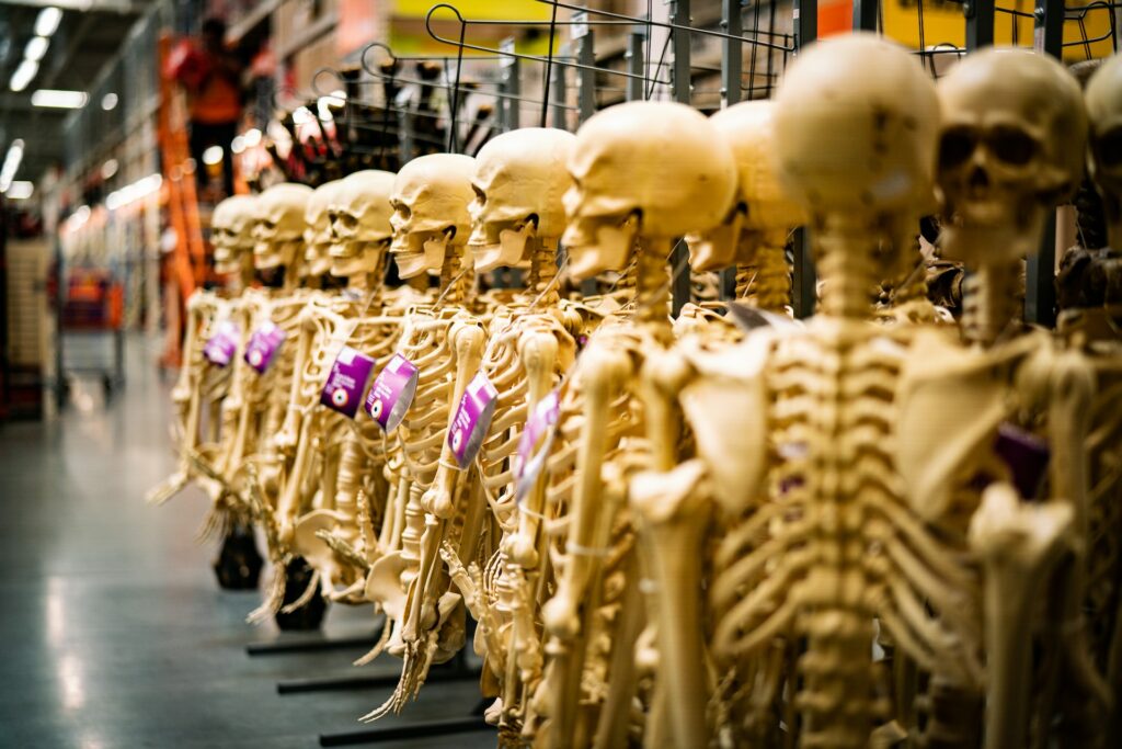Squelettes à vendre